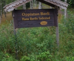 imgp6879