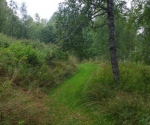Cesta na Børli